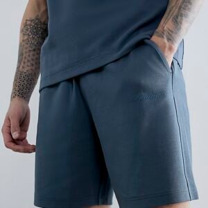 Grey Regular Fit Luminis Shorts